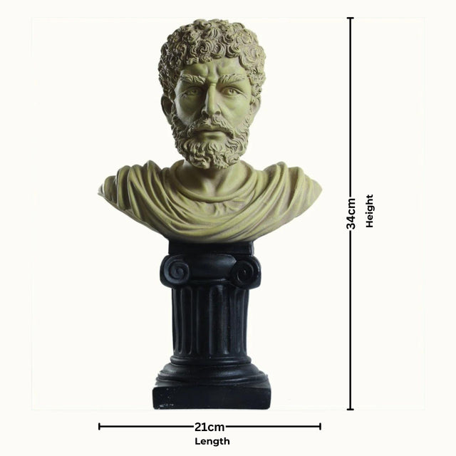 Antique Olive Bust of The Philosopher